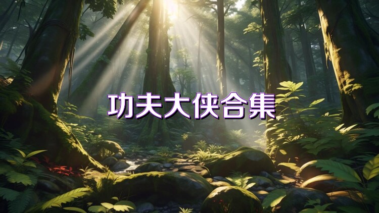 功夫大侠合集