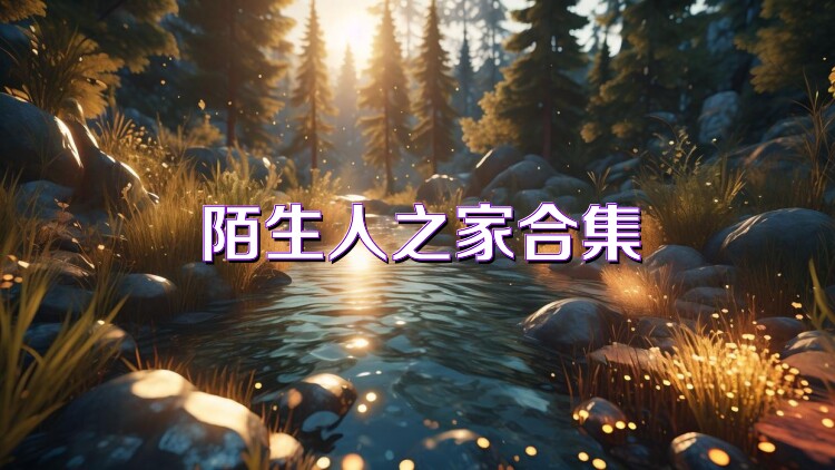 陌生人之家合集