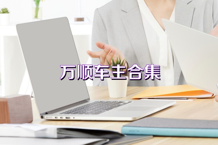 万顺车主合集