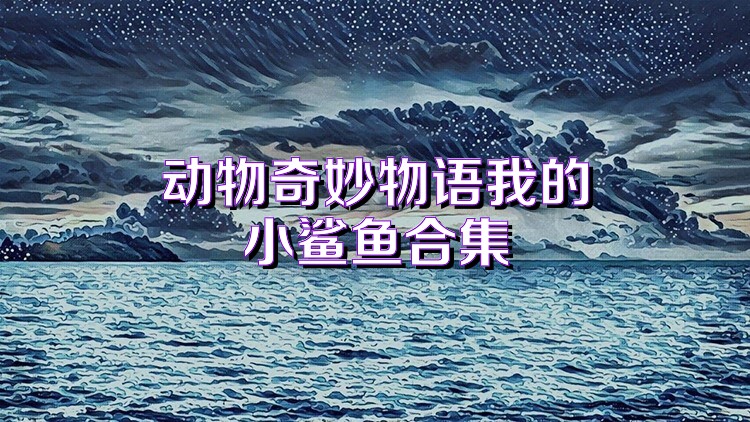 动物奇妙物语我的小鲨鱼合集