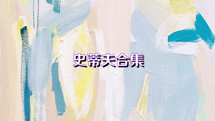 史蒂夫合集