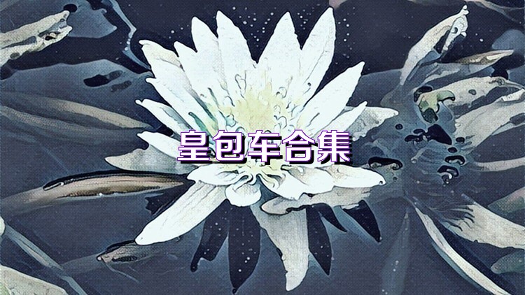 皇包车合集